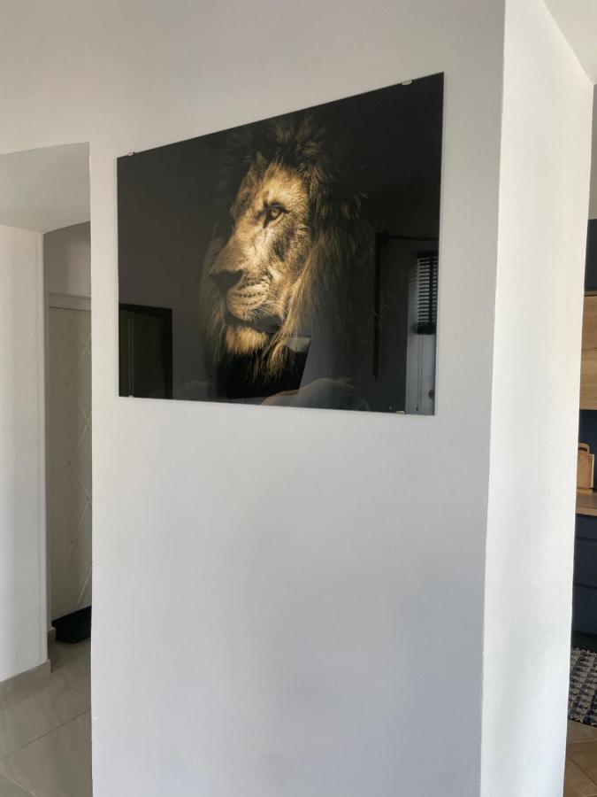 شقة Apartament W Centrum Przy Studni 102M2 Chełm المظهر الخارجي الصورة